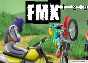 FMX Team