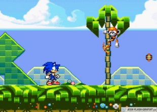 Sonic ultimate flash