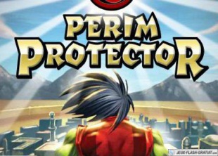 Perim Protector